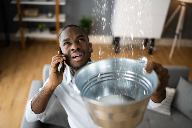 Best Flood damage cleanup  in North Falmouth, MA