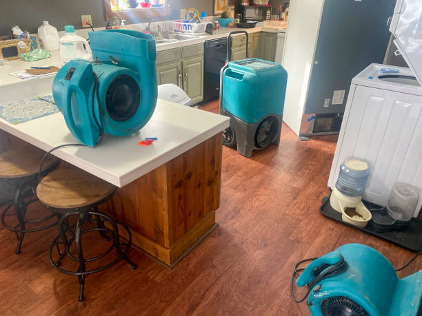 Best Water damage restoration near me  in North Falmouth, MA