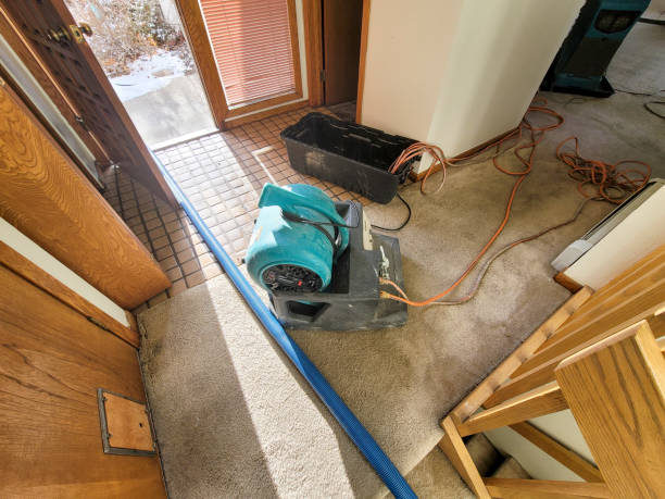 Best Water damage cleanup near me  in North Falmouth, MA