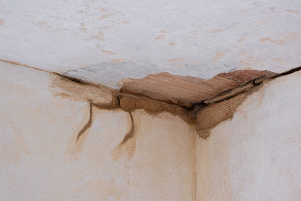 Best Mold removal after water damage  in North Falmouth, MA