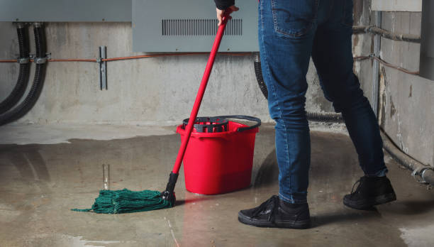 Best Professional water damage repair  in North Falmouth, MA
