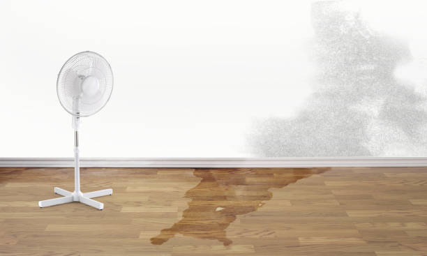 Best Residential water damage restoration  in North Falmouth, MA