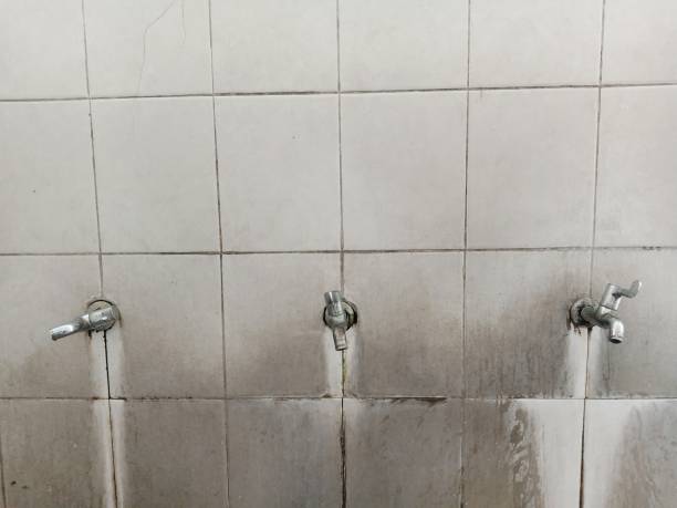 Best Carpet water damage restoration  in North Falmouth, MA
