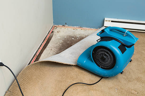 Best Flooded house restoration  in North Falmouth, MA